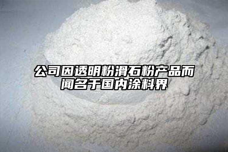 公司因透明粉滑石粉產品而聞名于國內涂料界