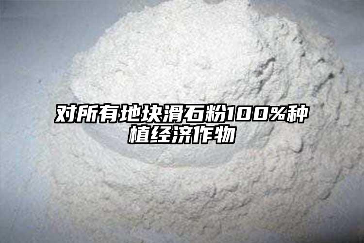 對(duì)所有地塊滑石粉100%種植經(jīng)濟(jì)作物