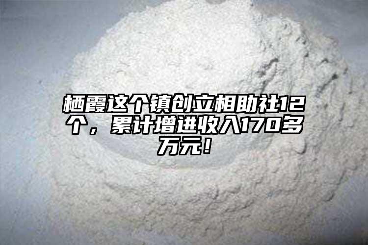 棲霞這個(gè)鎮(zhèn)創(chuàng)立相助社12個(gè)，累計(jì)增進(jìn)收入170多萬(wàn)元！