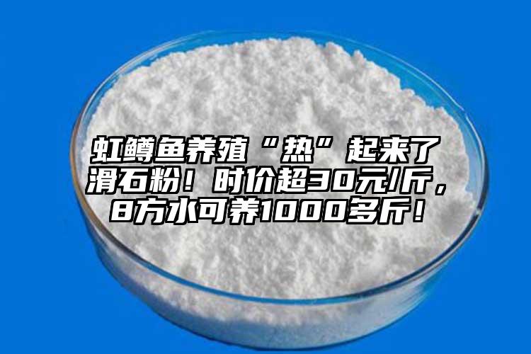 虹鱒魚(yú)養(yǎng)殖“熱”起來(lái)了滑石粉！時(shí)價(jià)超30元/斤，8方水可養(yǎng)1000多斤！