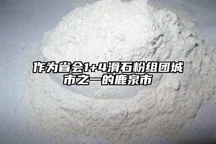 作為省會(huì)1+4滑石粉組團(tuán)城市之一的鹿泉市